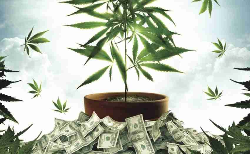 The Union: The Business Behind Getting High