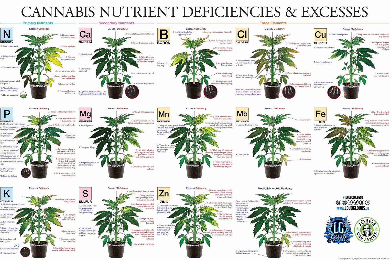 Nutrient Chart For Weed How To Calculate Ppm For Cannabis