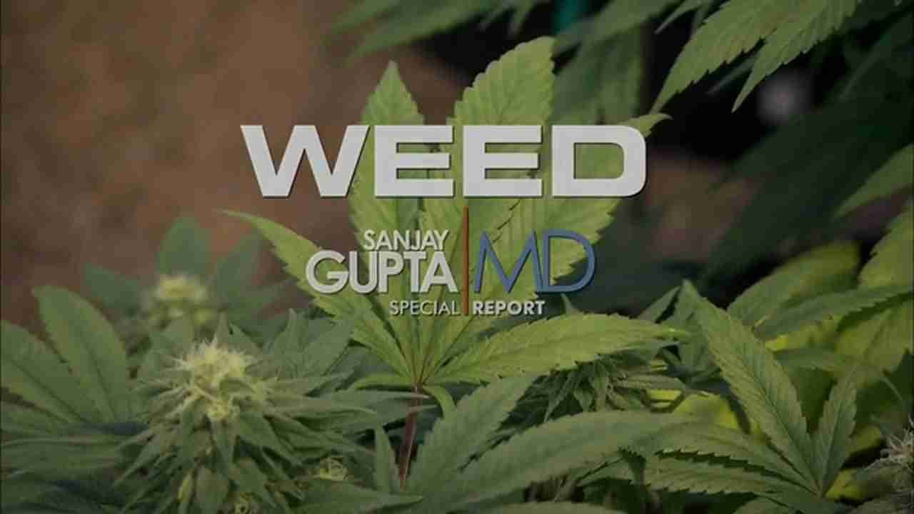 CNN's Special Report: Weed I w/ Dr. Sanjay Gupta